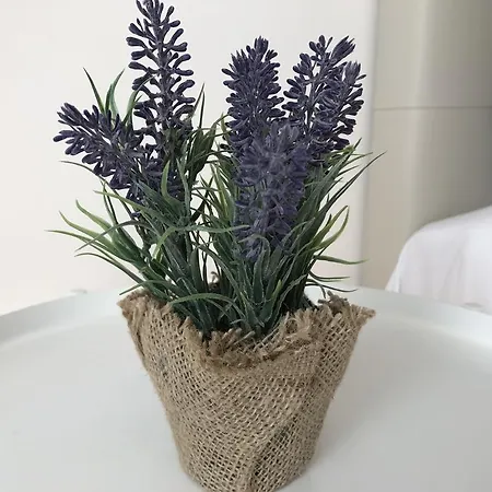 Pensjonat Mytrip Porto