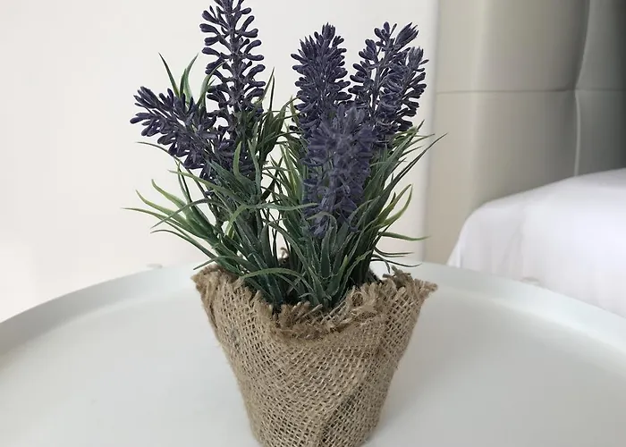 게스트하우스 Mytrip Porto